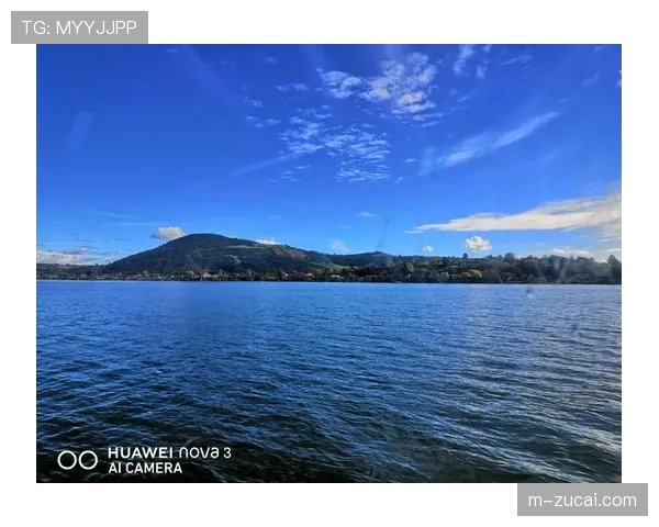 新西兰大洋洲唯一代表 身体对抗风格遭遇欧洲技术流考验 新西兰大洋洲唯一代表 身体对抗风格遭遇欧洲技术流考验