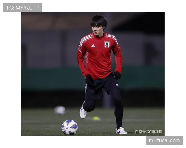 本菲卡阵容齐整复盘：仅一名替补缺阵对战术连续性的保障